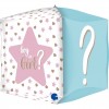 SQ 15" Gender Reveal 4D (PK)