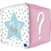 SQ 15" Gender Reveal 4D (PK)