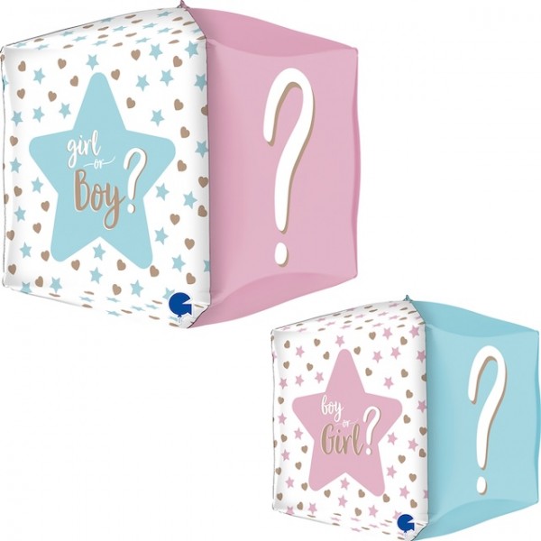 SQ 15" Gender Reveal 4D (PK)
